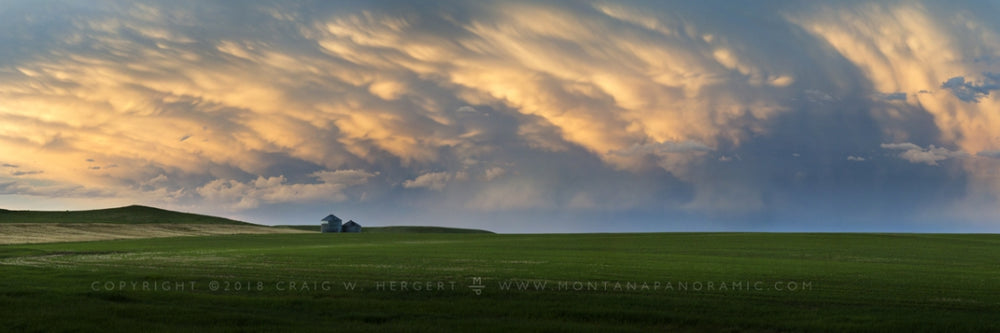 The "Grass Roots" of central Montana by Craig Hergert