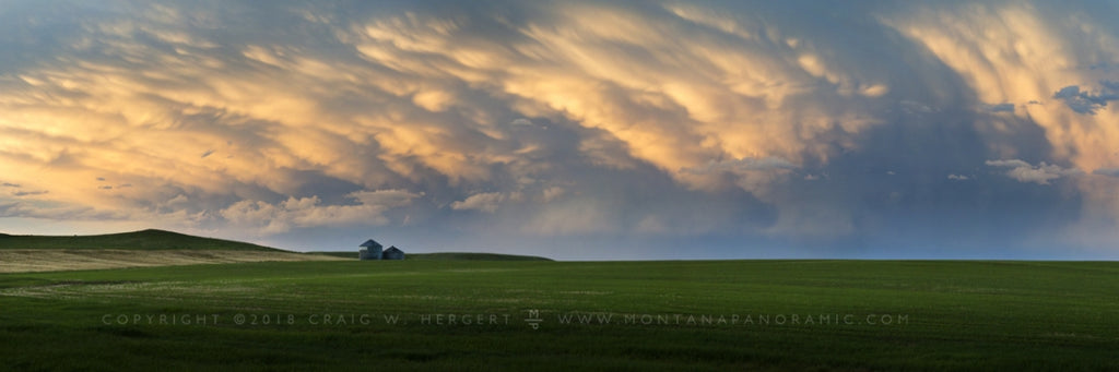 The "Grass Roots" of central Montana