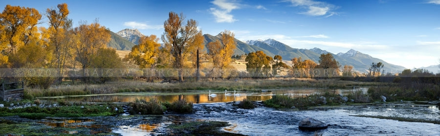 The Epson International Photographic pano awards 2012
