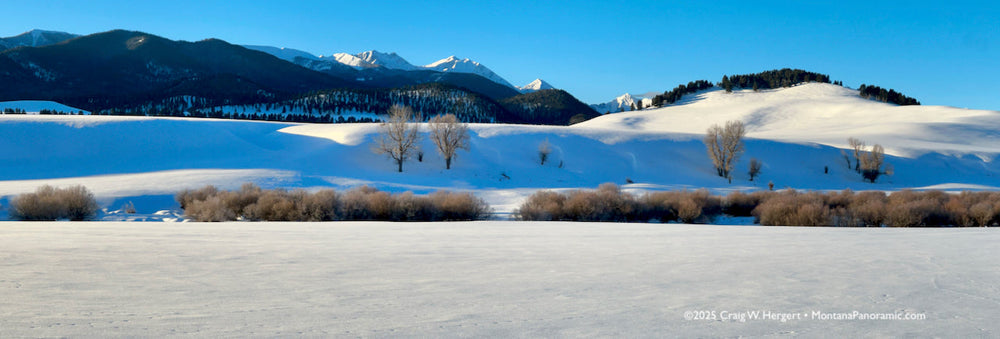 Embracing the Beauty of a Cold, Snowy Winter: Skiing, Studio and Family Time