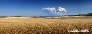 Harvest season has now turned to fire season in Montana: