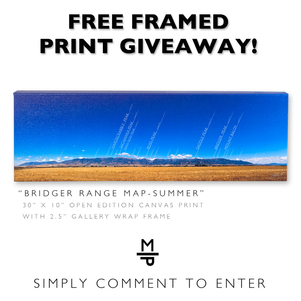 Win a FREE signed & framed print! (Week 2)