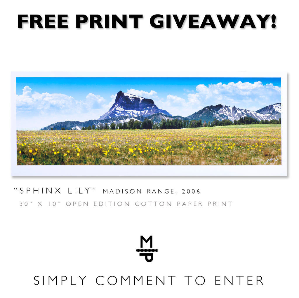 Win a FREE signed & framed print! (Week 3)