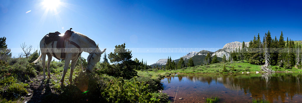 "Morning Ride" on the Rocky Mountain Front - Blind Horse