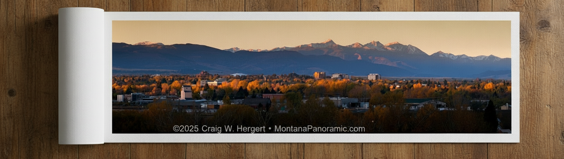 "Flying South" - 40x10 canvas print ready to frame