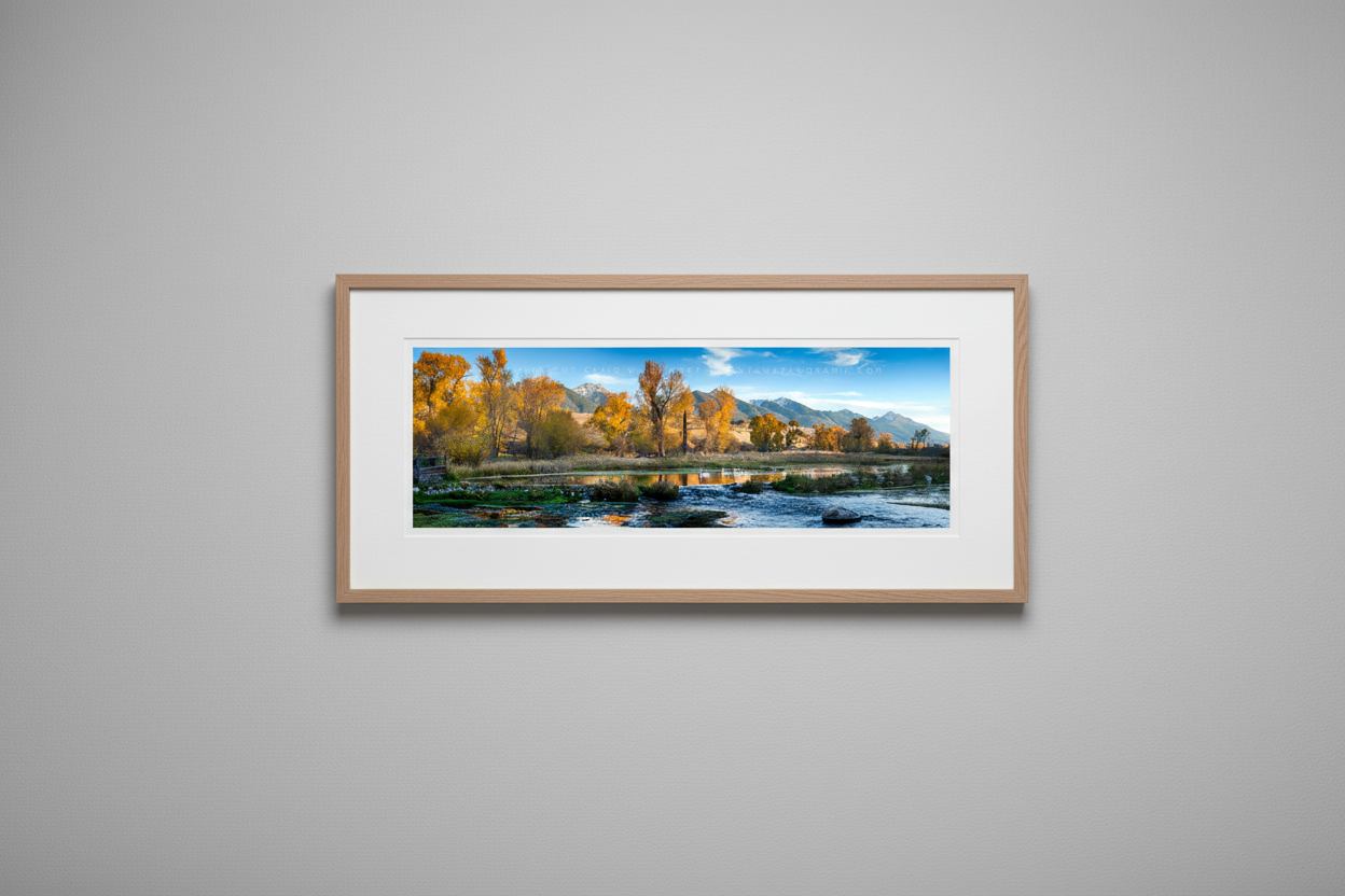 "3 Swans" -  Livingston, MT