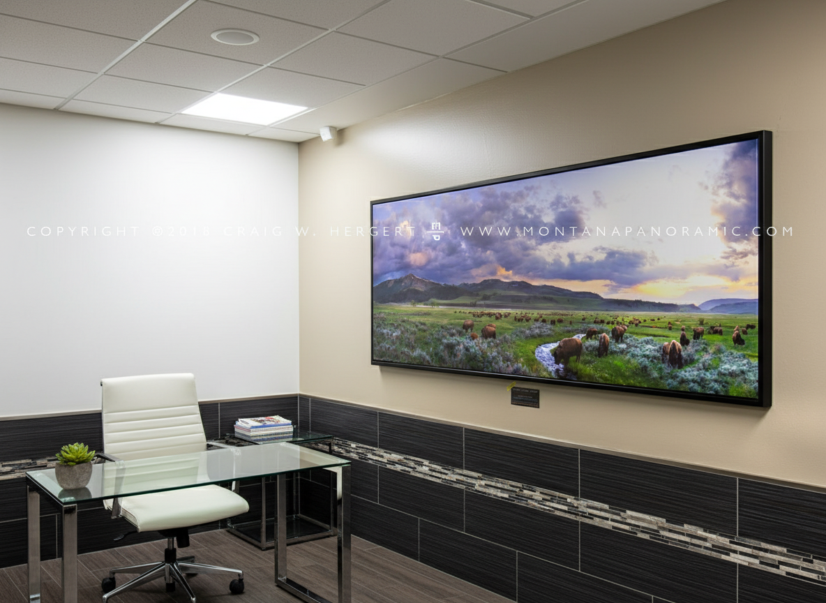 "Calving Season-Lamar" - Limited Edition of 75 on Canvas--72" x 24" Canvas Wrap w- Black Floating Frame