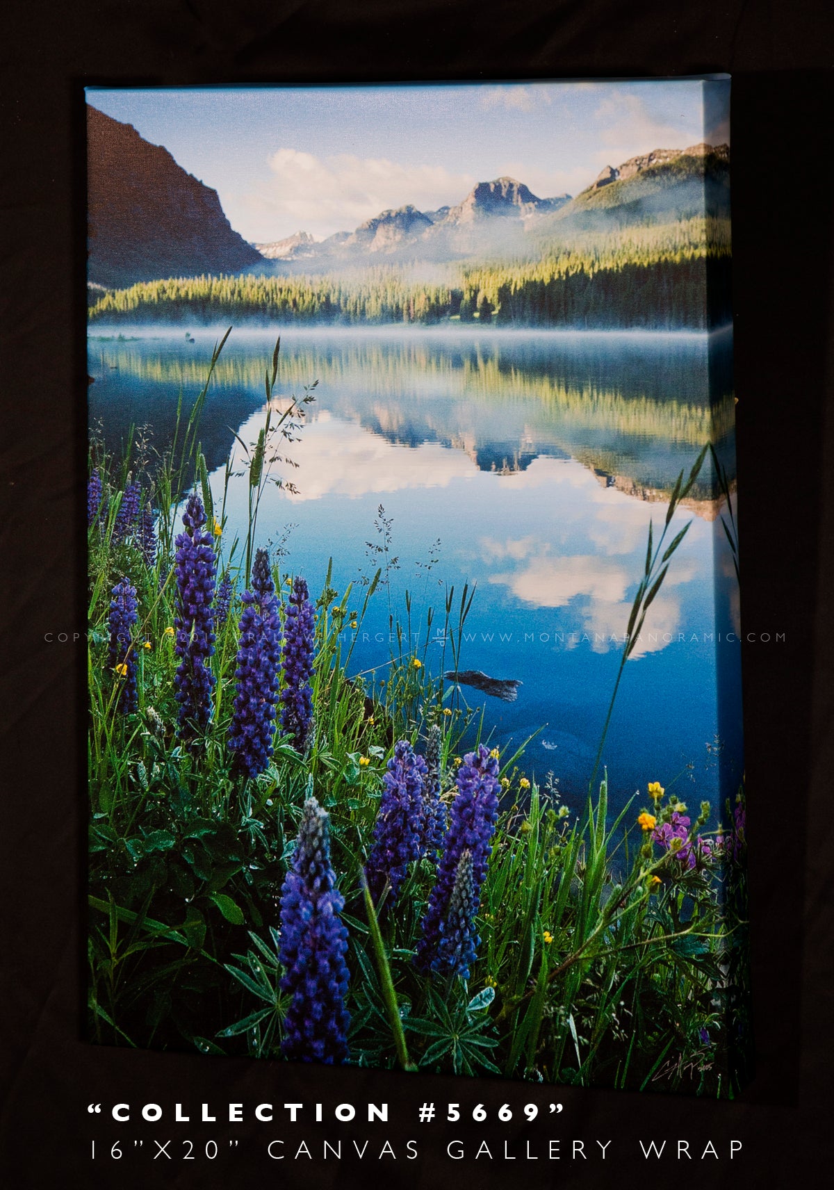 "Collection #5669" Hyalite Lake, Gallatin National Forest MT