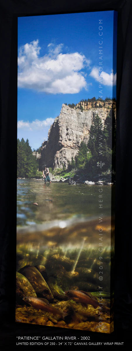 "Patience" - 24" x 72" gallery wrap framed canvas