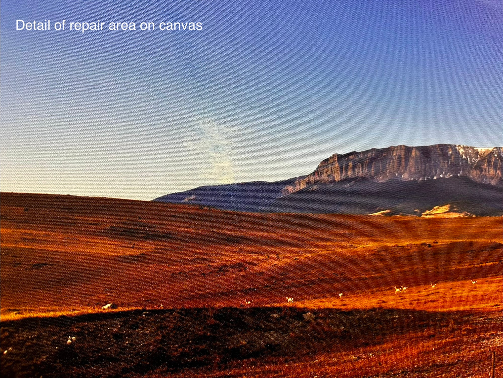 "Pronghorn Migration" - 90"x30" canvas gallery wrap triptych