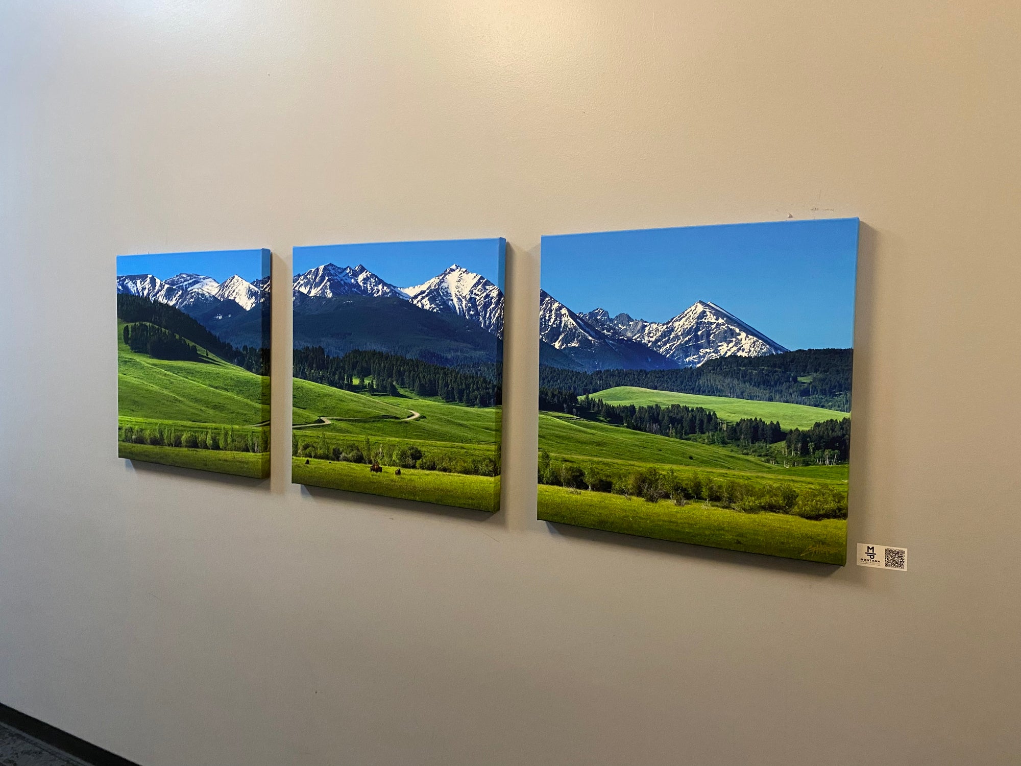 "Spring Grazing" - Spanish Peaks Montana