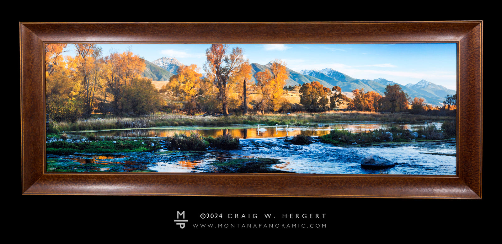 "3 Swans" - 72" x 24" limited edition canvas with custom walnut frame