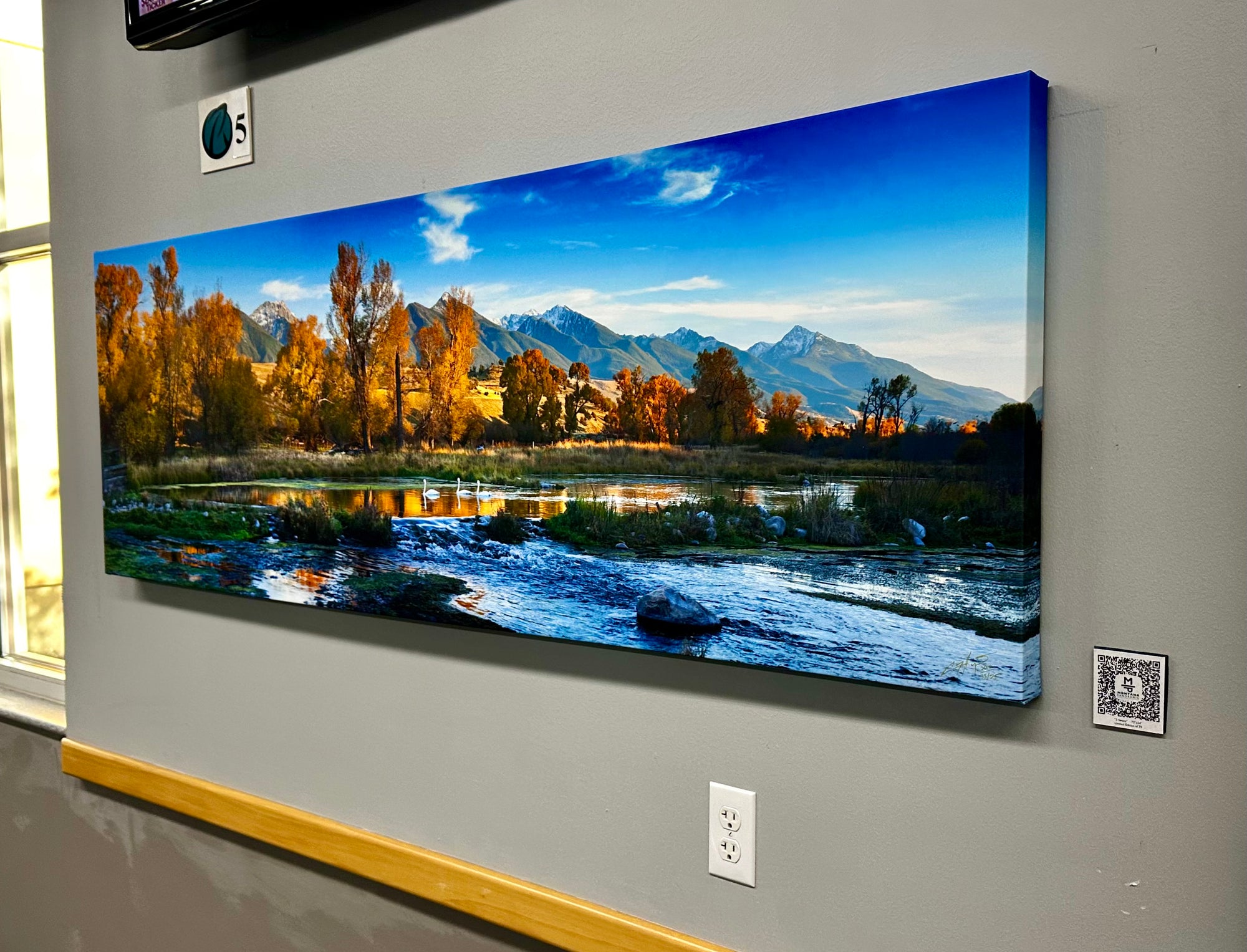 "3 Swans" - 72" x 24" Limited Edition Framed gallery wrap