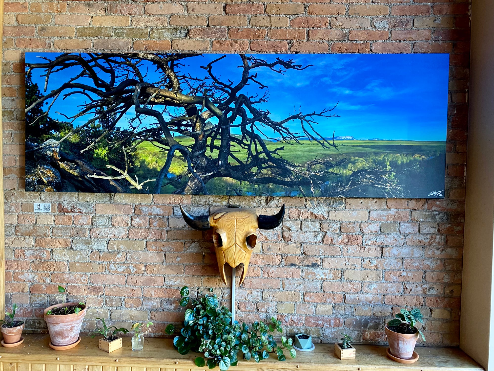 "Threading The Needle" -90"x30" canvas gallery wrap