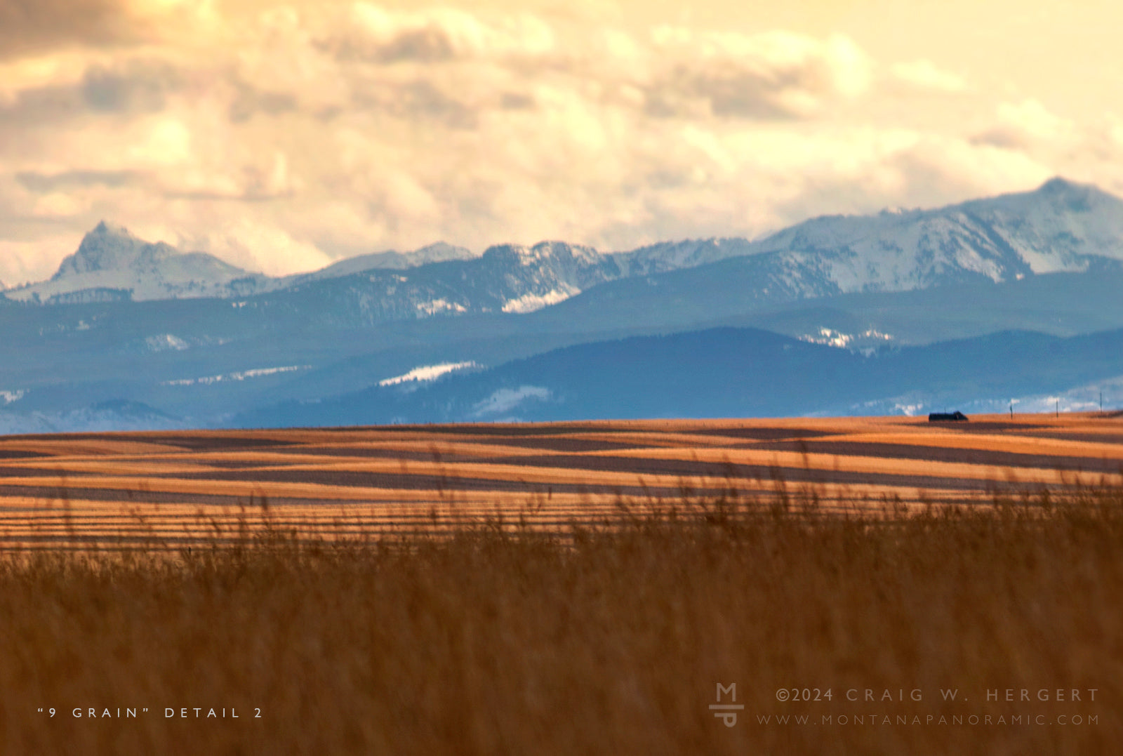 "9 Grain" - Three Forks, MT