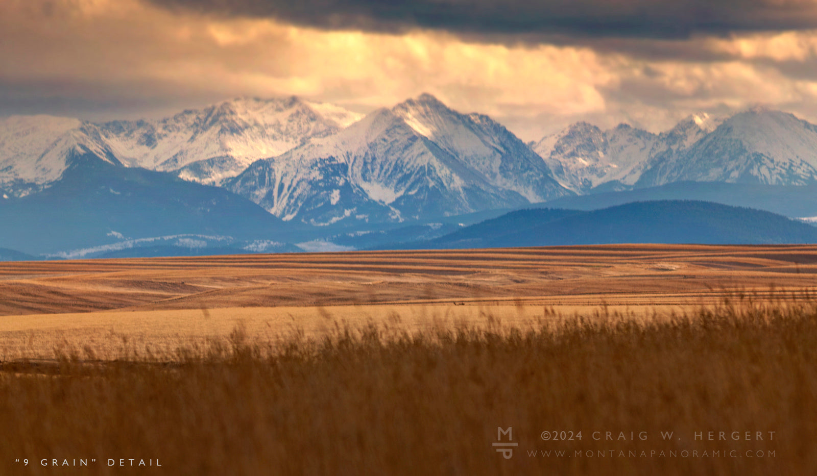 "9 Grain" - Three Forks, MT