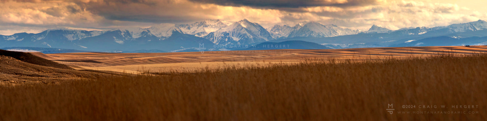 "9 Grain" - Three Forks, MT