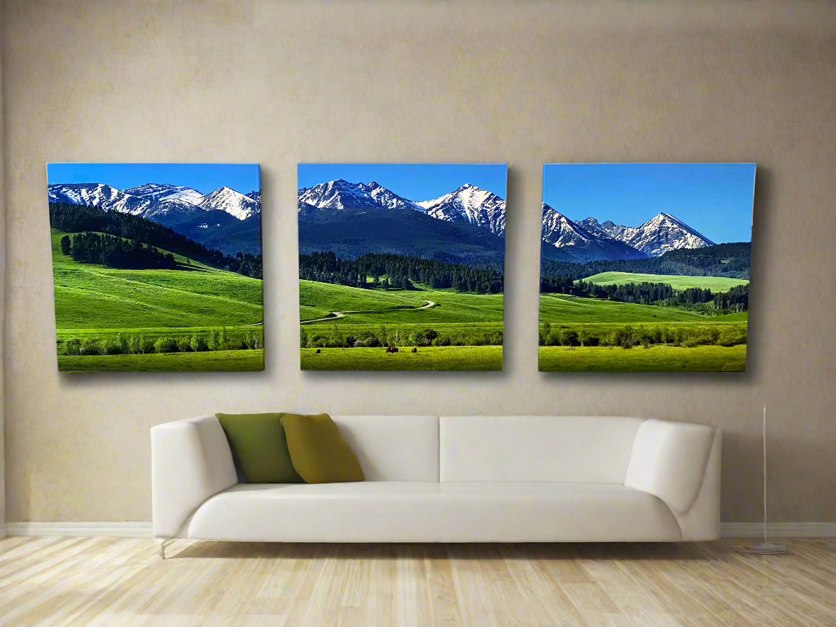 "Spring Grazing" - Spanish Peaks Montana