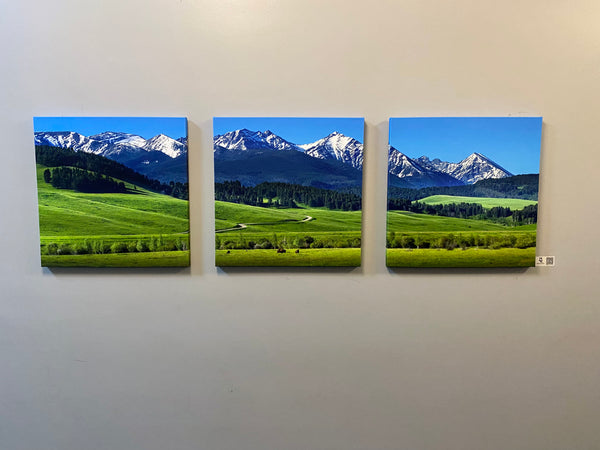 "Spring Grazing"  90"x30" canvas print - triptych**