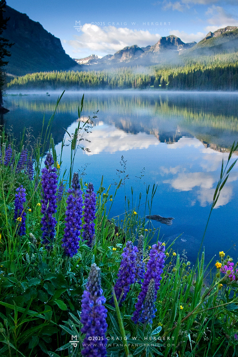 "Collection #5669" Hyalite Lake, Gallatin National Forest MT