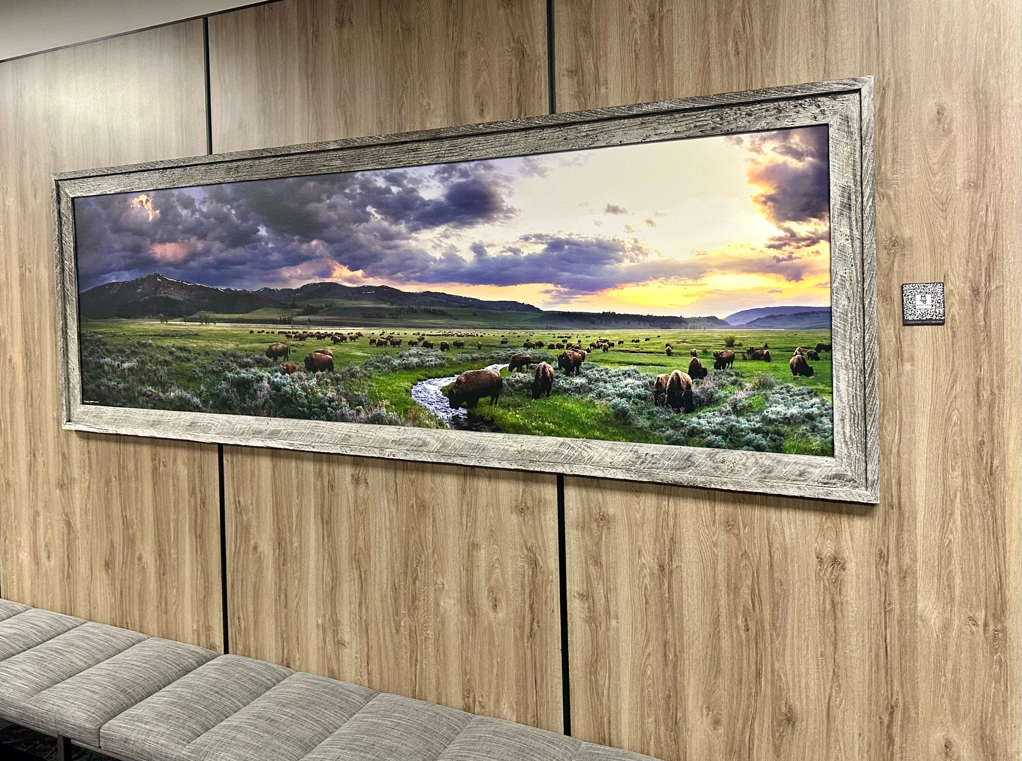 "Calving Season-Lamar" - Framed 102" x 35" Limited Edition Canvas with whitewashed barn wood frame