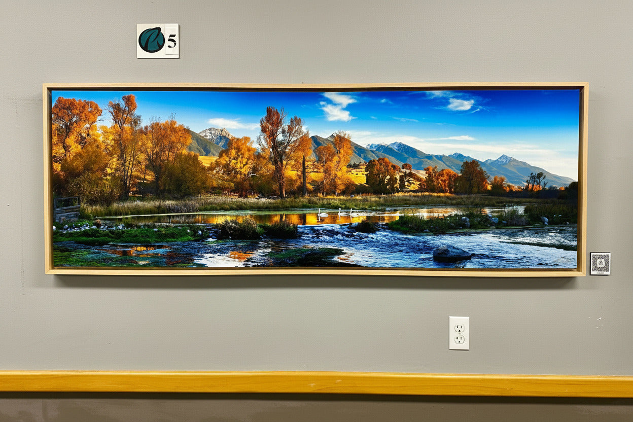 "3 Swans" - 72" x 24" Limited Edition gallery wrap with natural floating frame
