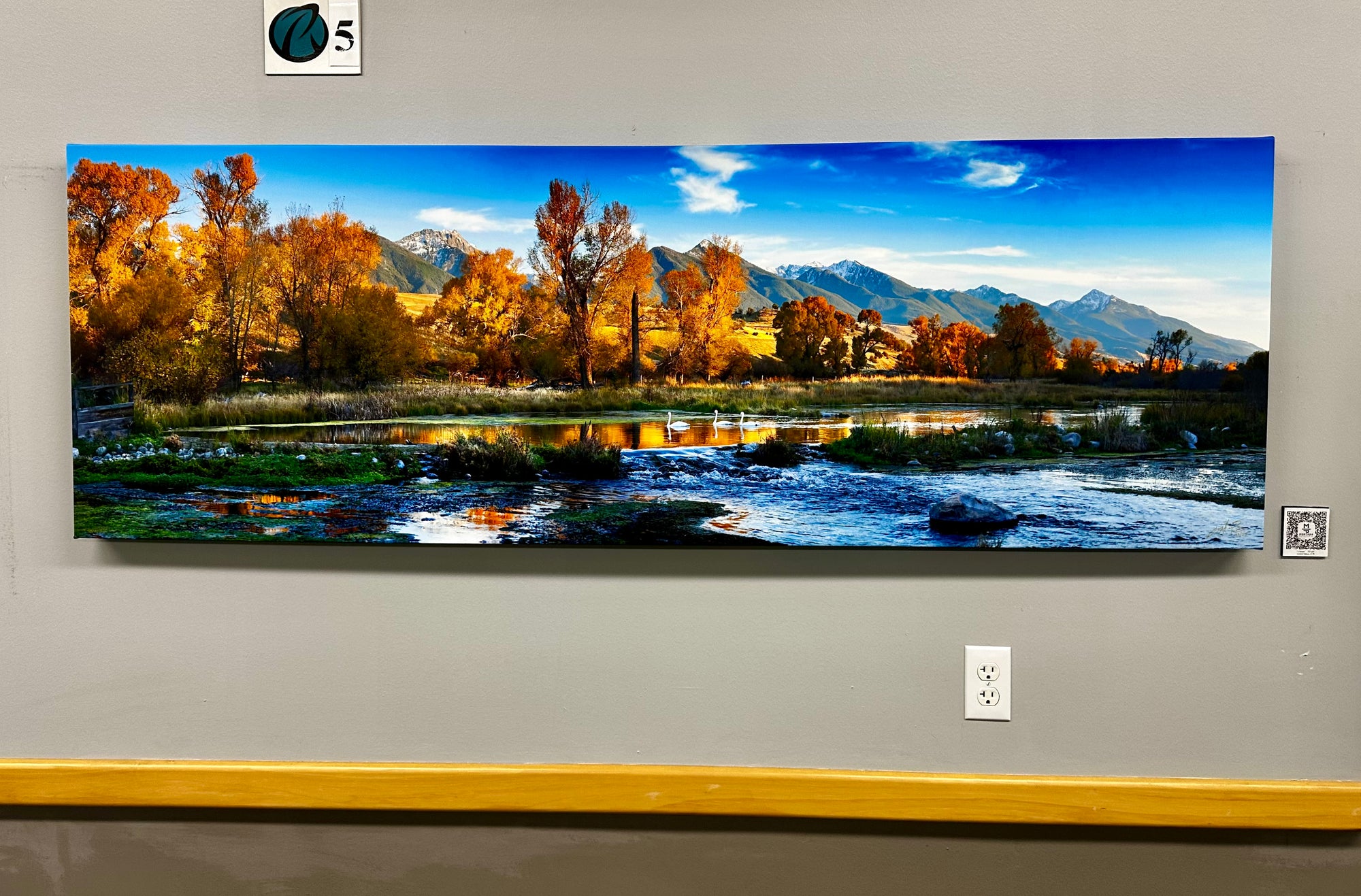 "3 Swans" - 72" x 24" Limited Edition Framed gallery wrap