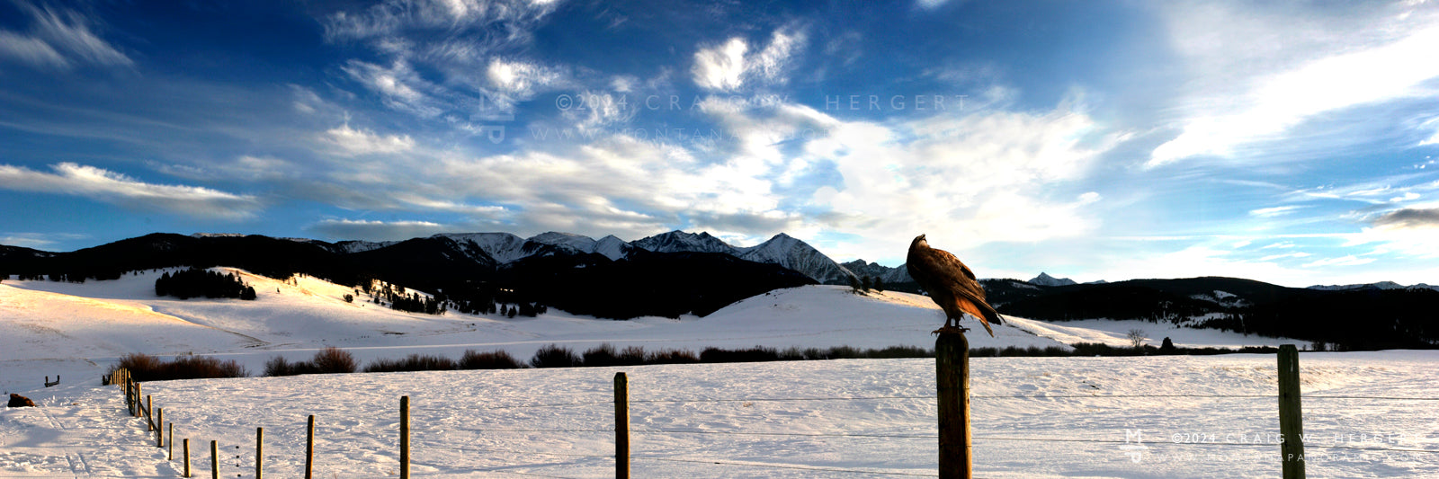 "Evening Watch" - Spanish Peaks, MT