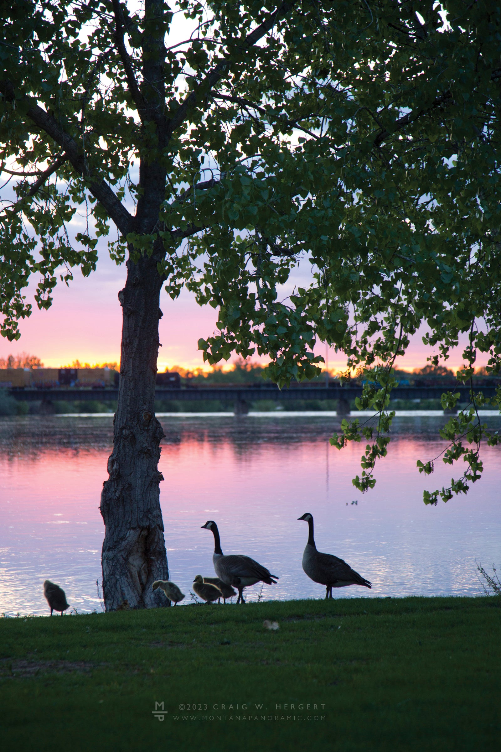 "Central View" - Great Falls, MT