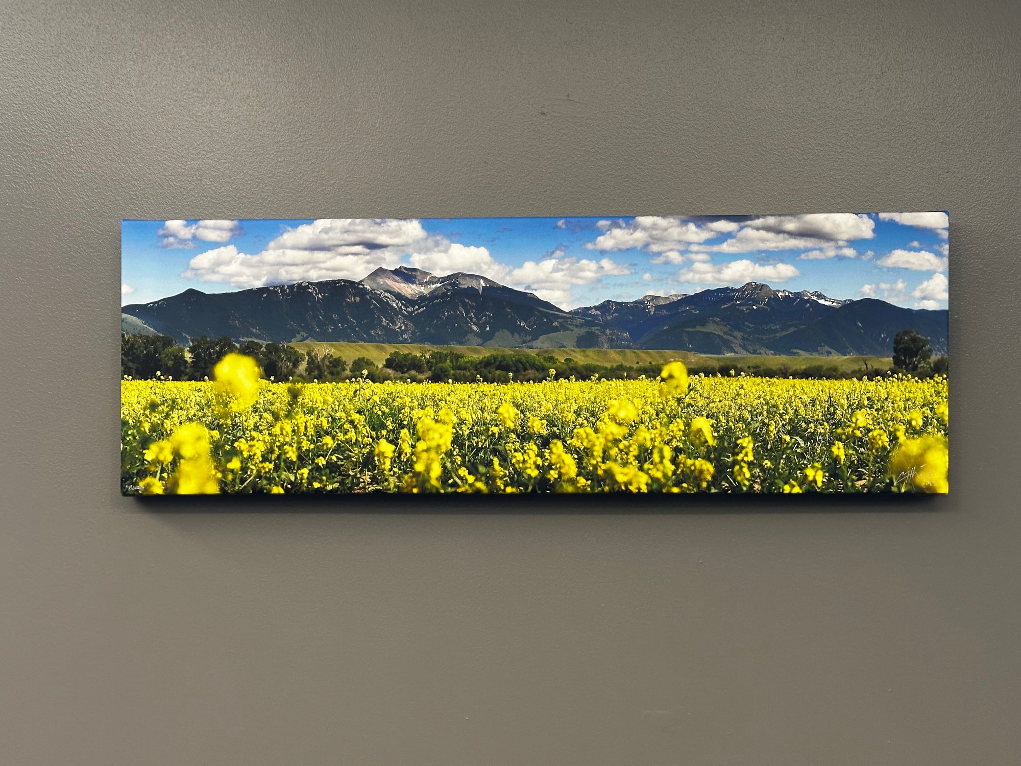 "Bloom" - 45" x 15" Limited edition canvas with gallery wrap frame