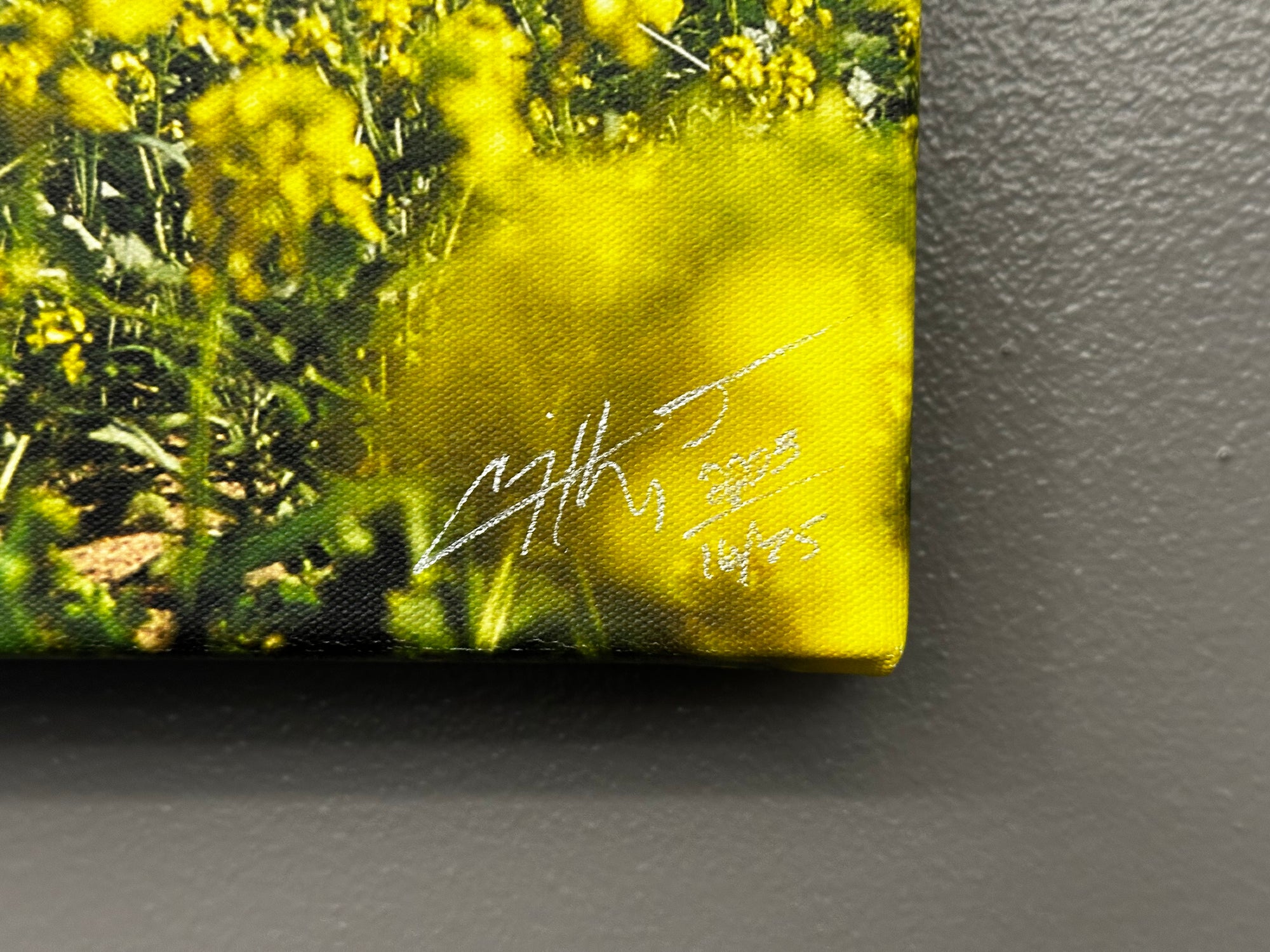 "Bloom" - 45" x 15" Limited edition canvas with gallery wrap frame