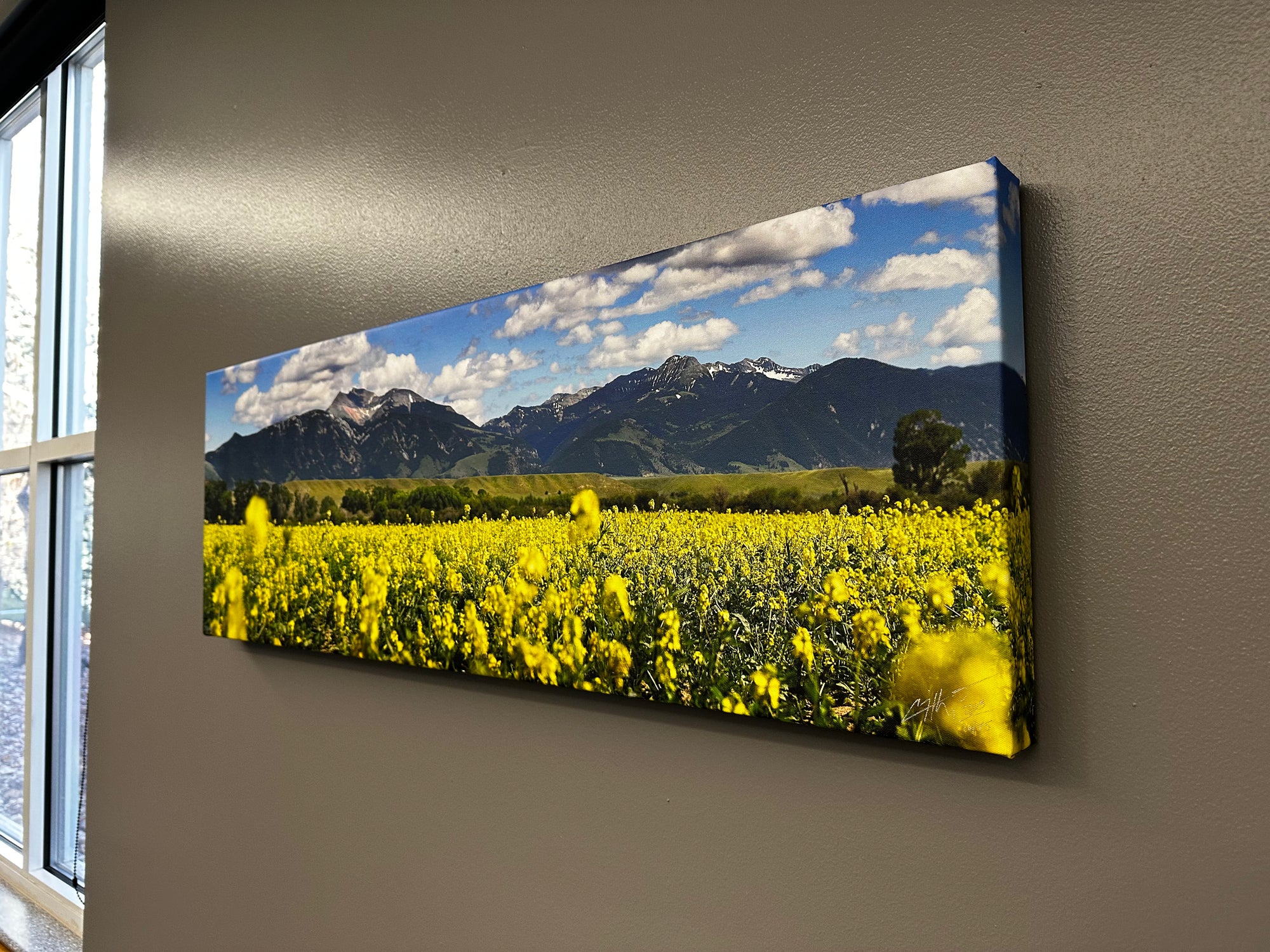 "Bloom" - 45" x 15" Limited edition canvas with gallery wrap frame