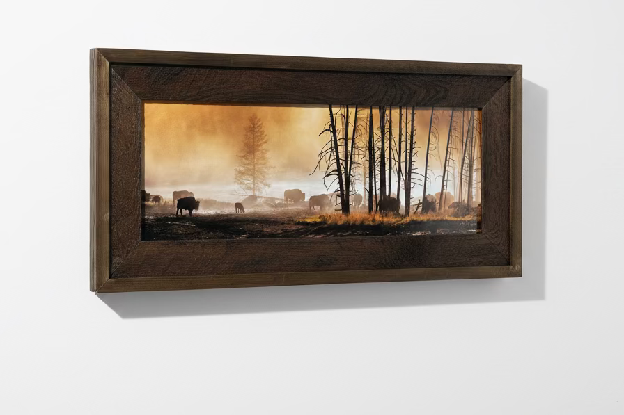 "Bison in the Backlight" - Yellowstone Nationa Park
