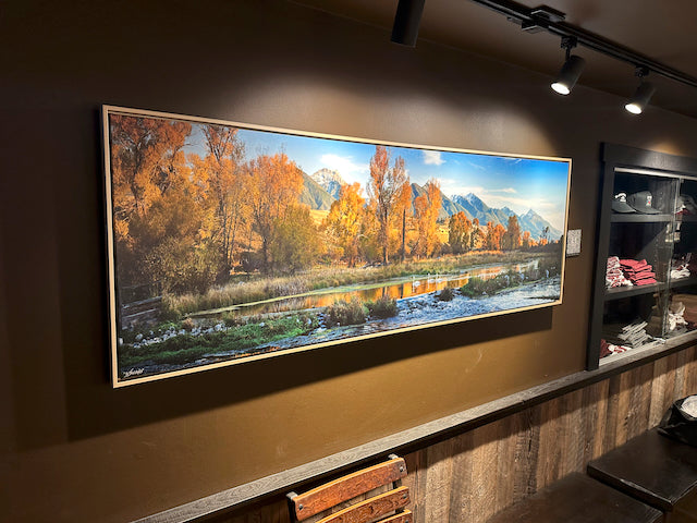 "3 Swans" - 72" x 24" Limited Edition gallery wrap with natural floating frame