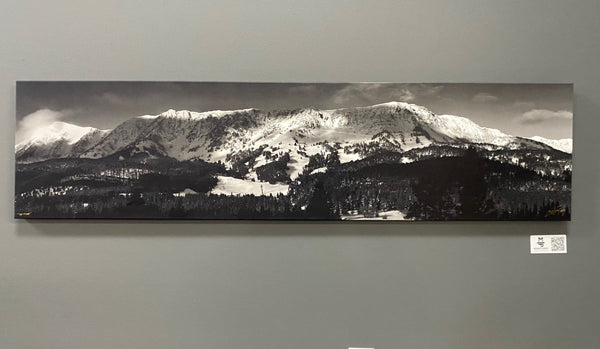 "The Ridge" - 60" x 15" gallery wrap framed open edition canvas