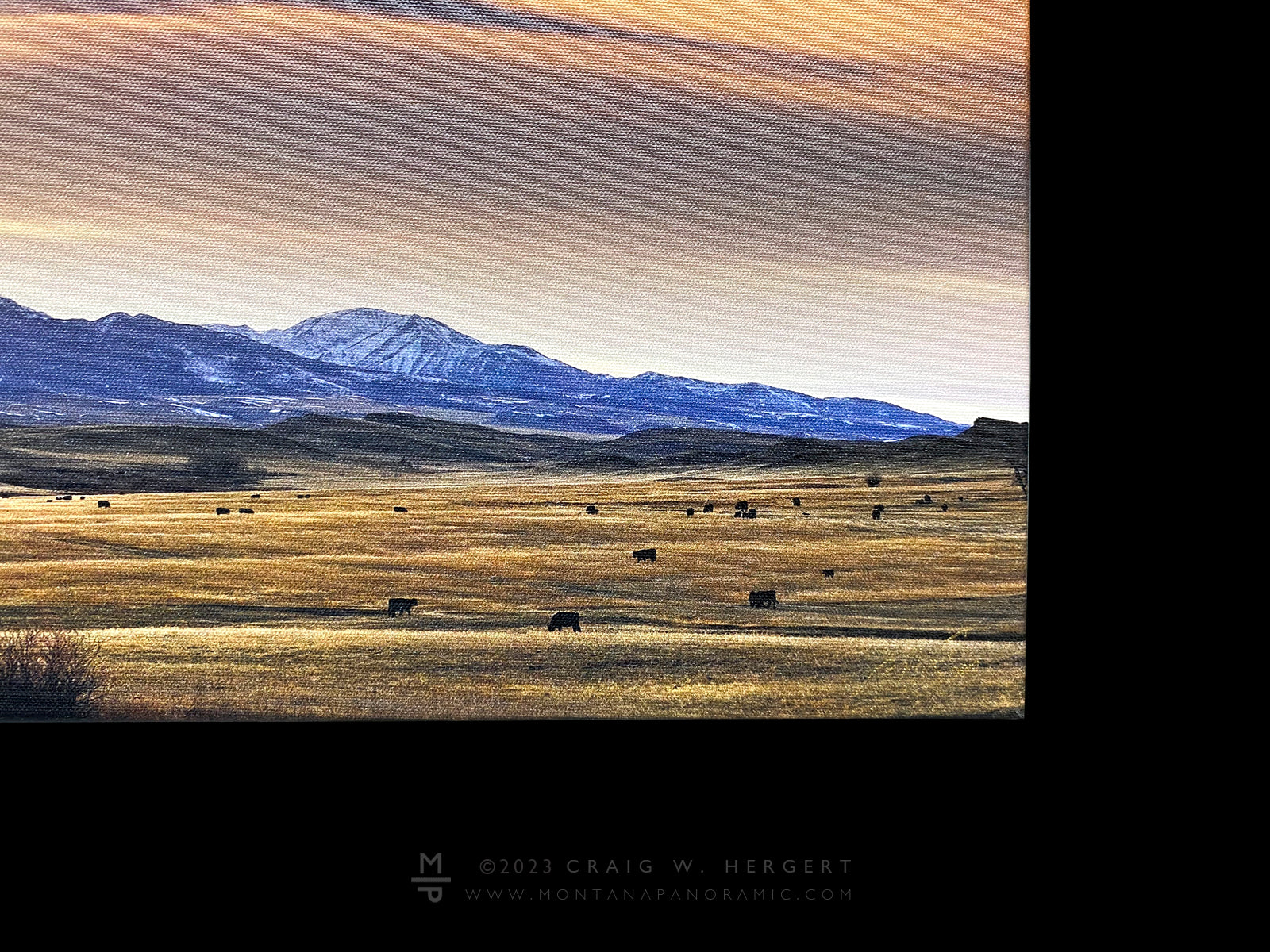 "Northern Crazies Ranch" - Ready to hang - 40"x10" canvas print with extra thick gallery wrap frame