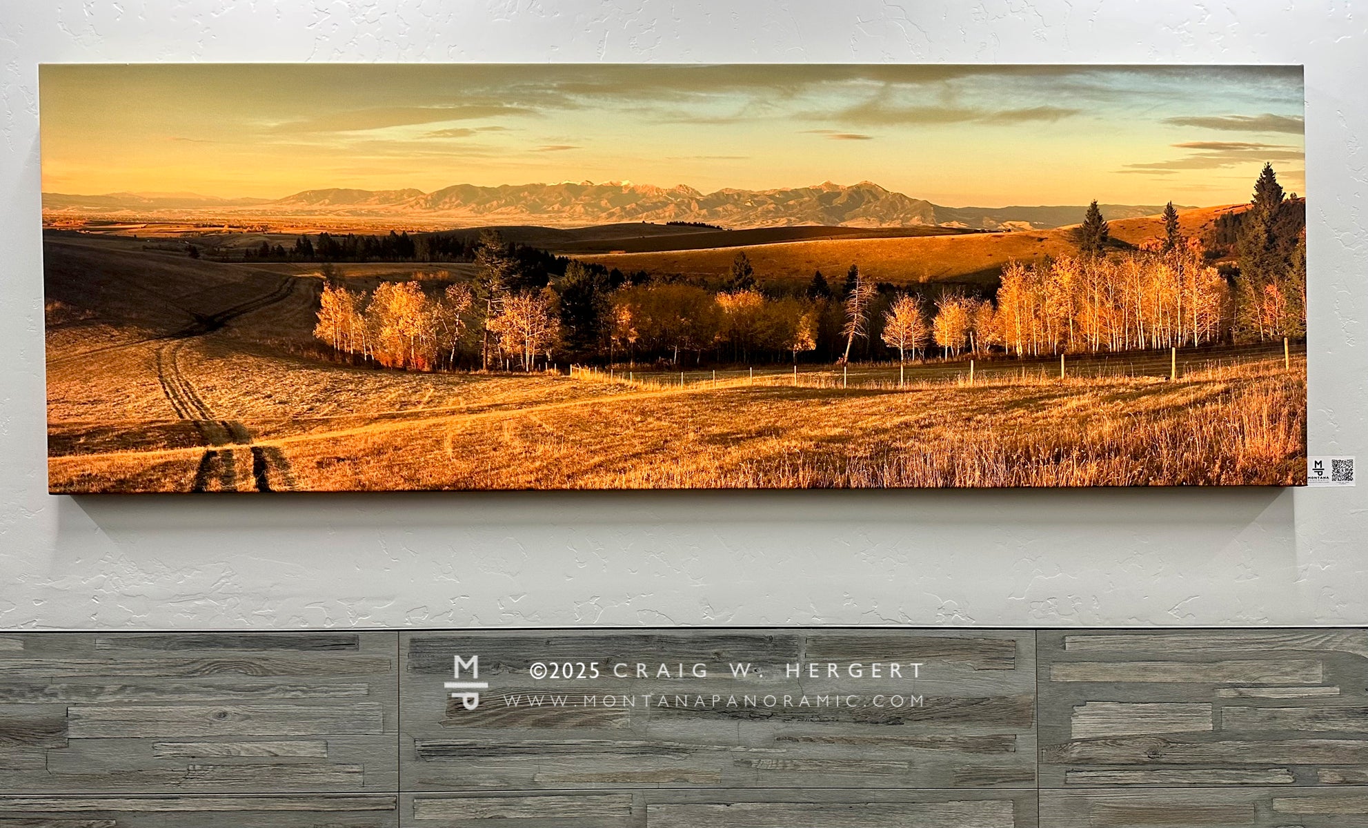 "Little Bear Gold" - 90" x 30" gallery wrap #18 of 75