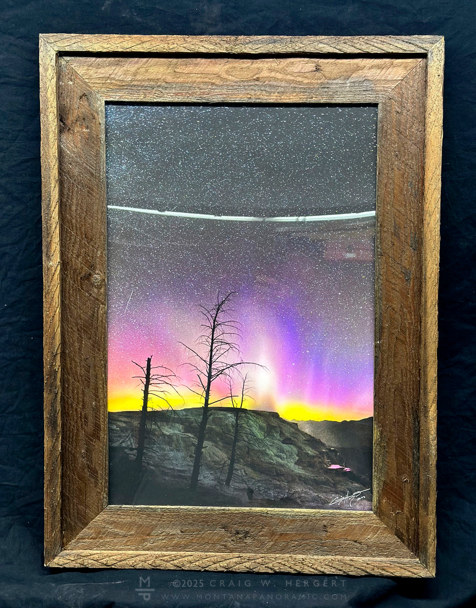 "Canary Spring under the Northern Lights" - Yellowstone National Park" (Standard Format Vertical)