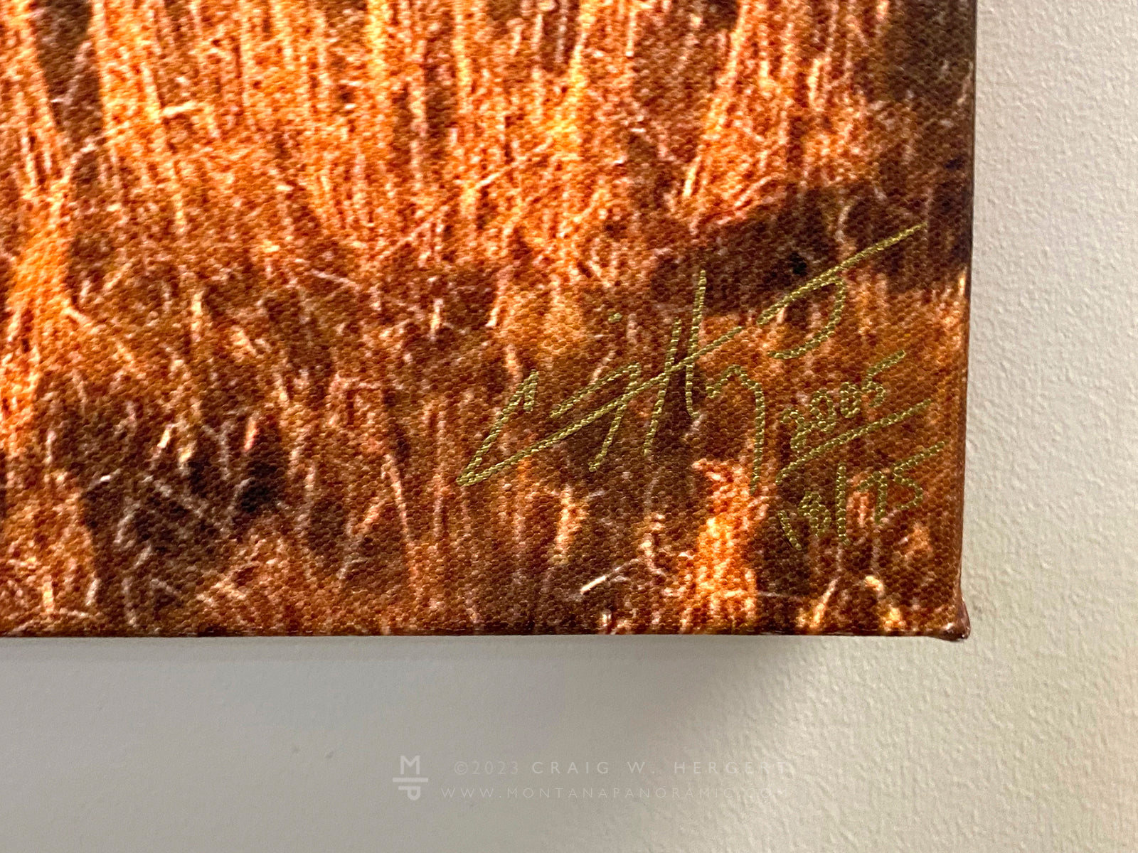 "Little Bear Gold" - 90" x 30" gallery wrap #18 of 75