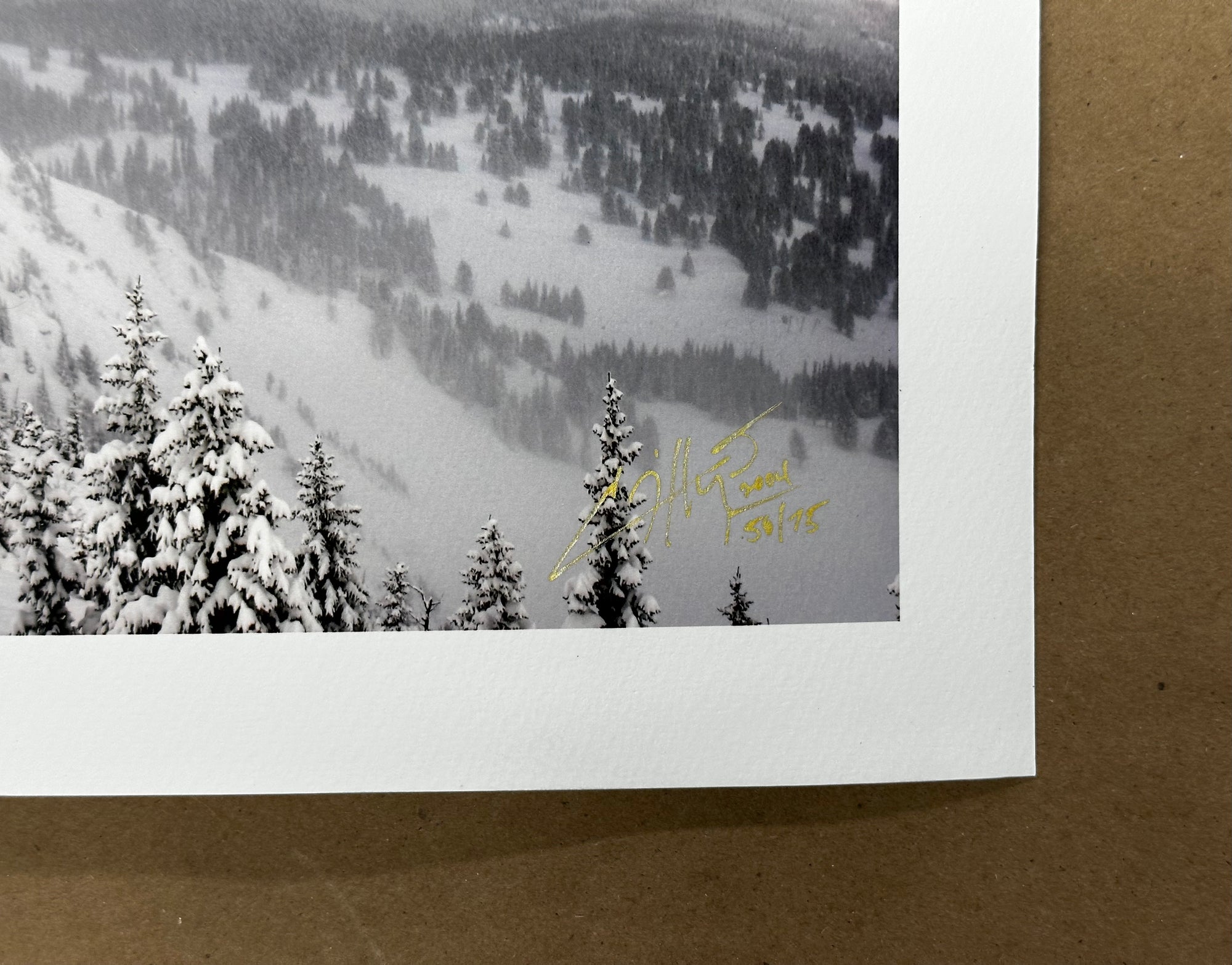 "Northbound" - Limited Edition of 75 -  30" x 10" - rolled cotton paper print