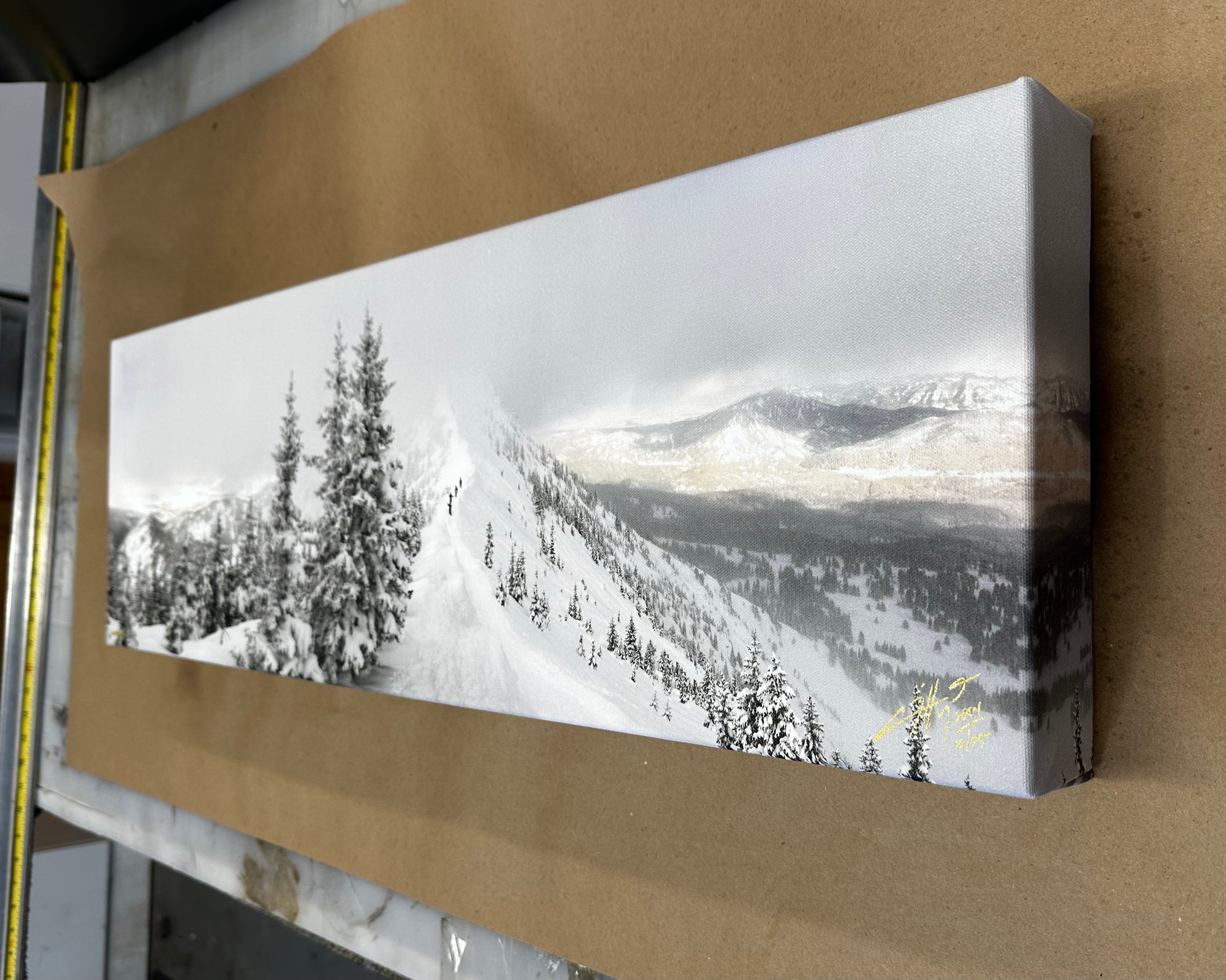 "Northbound" - 30" x 10" Limited edition canvas gallery wrap frame