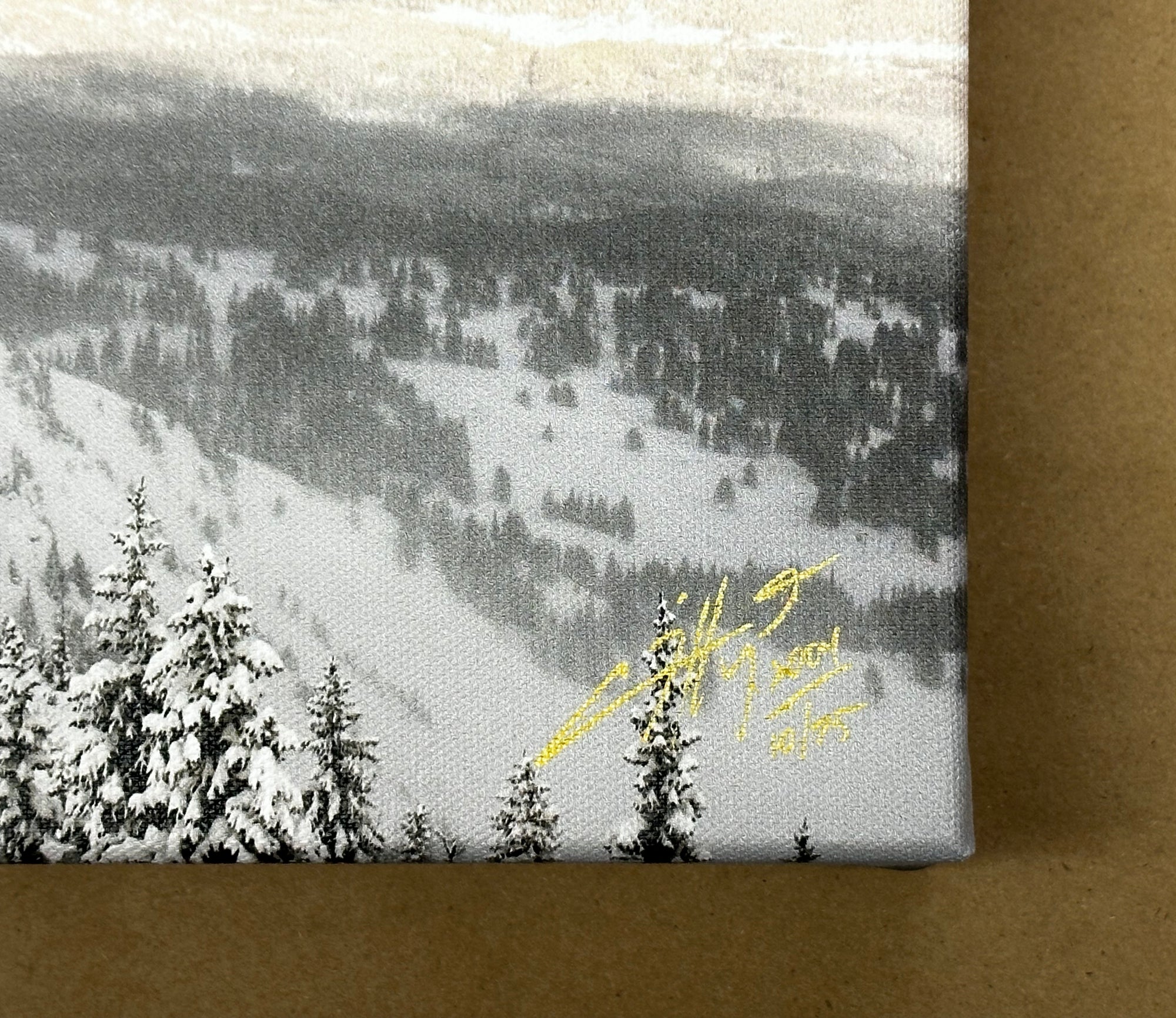 "Northbound" - 30" x 10" Limited edition canvas gallery wrap frame