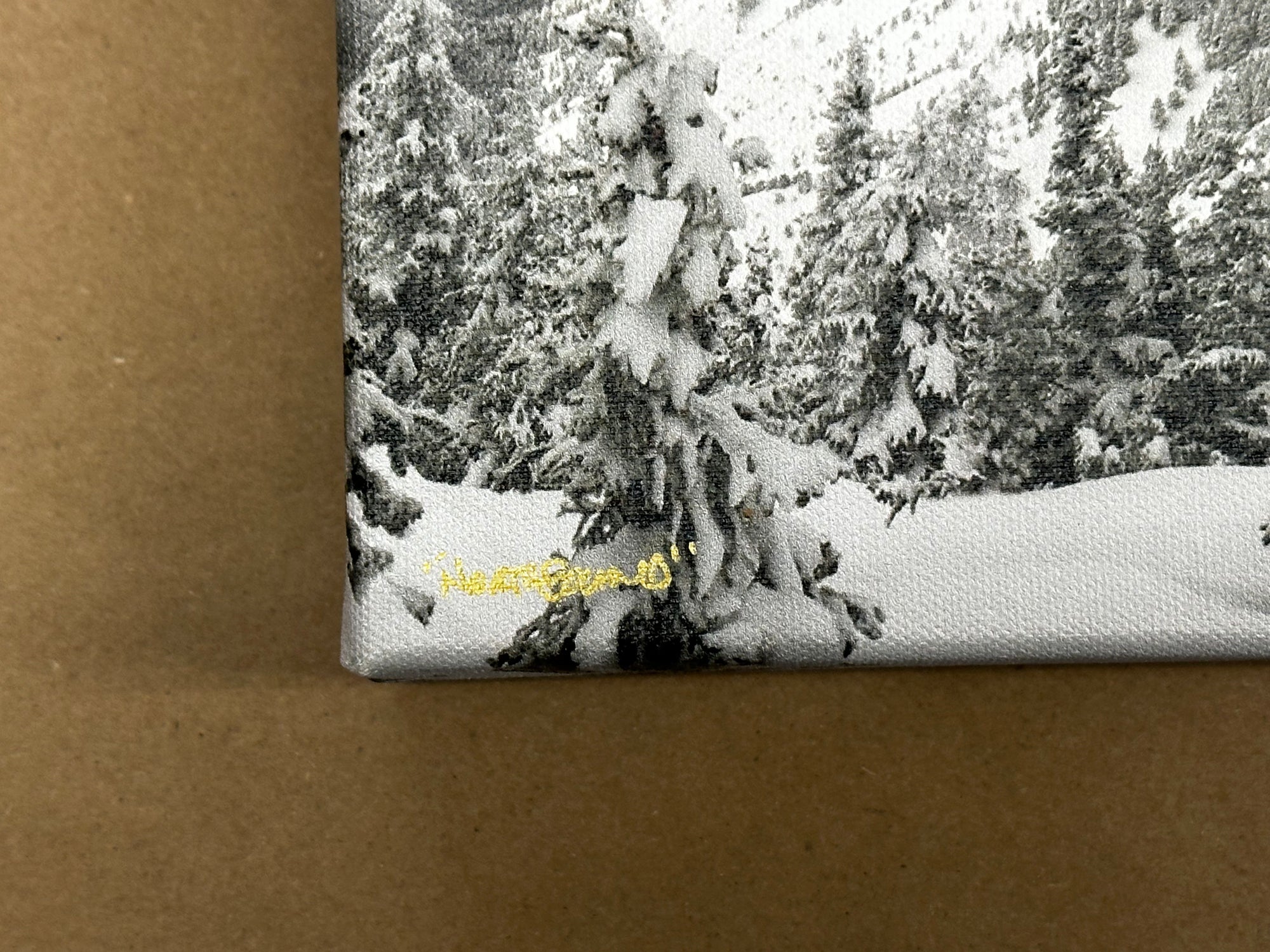 "Northbound" - 30" x 10" Limited edition canvas gallery wrap frame