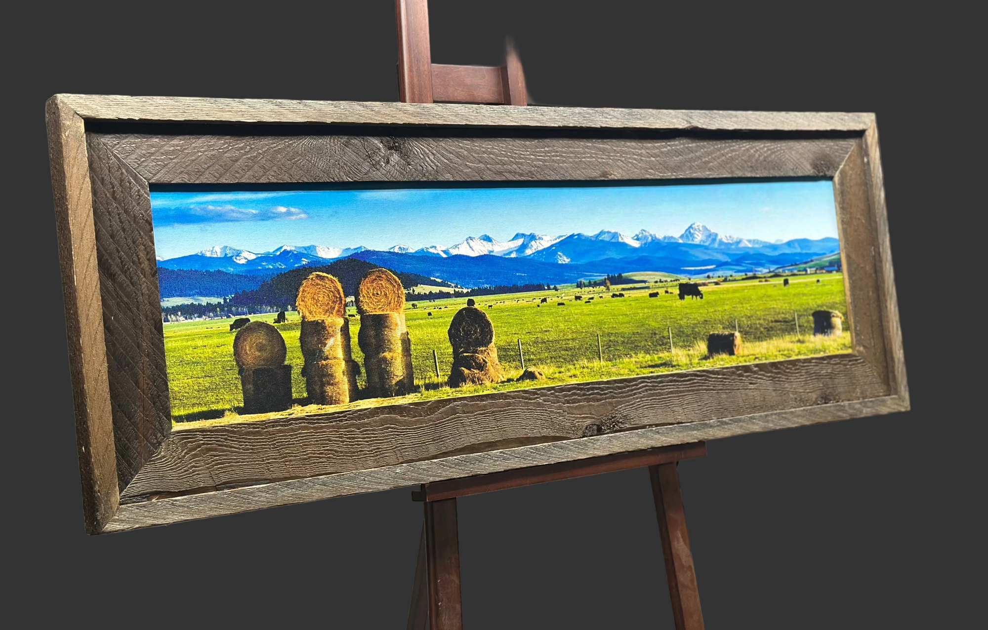 "Calving Season - Flint Creek" - Philipsburg, MT