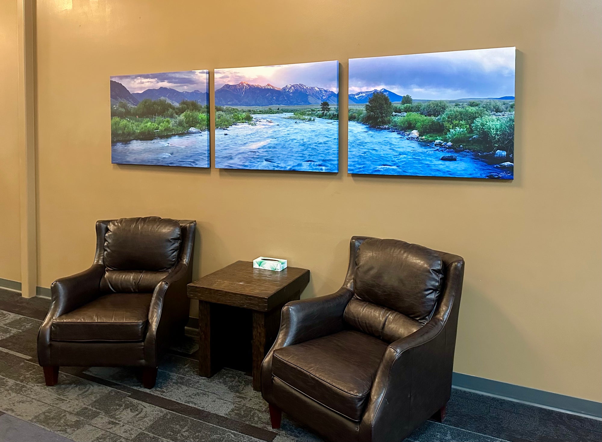 "3 Dollar Eve"  120"x30" canvas gallery wrap - triptych