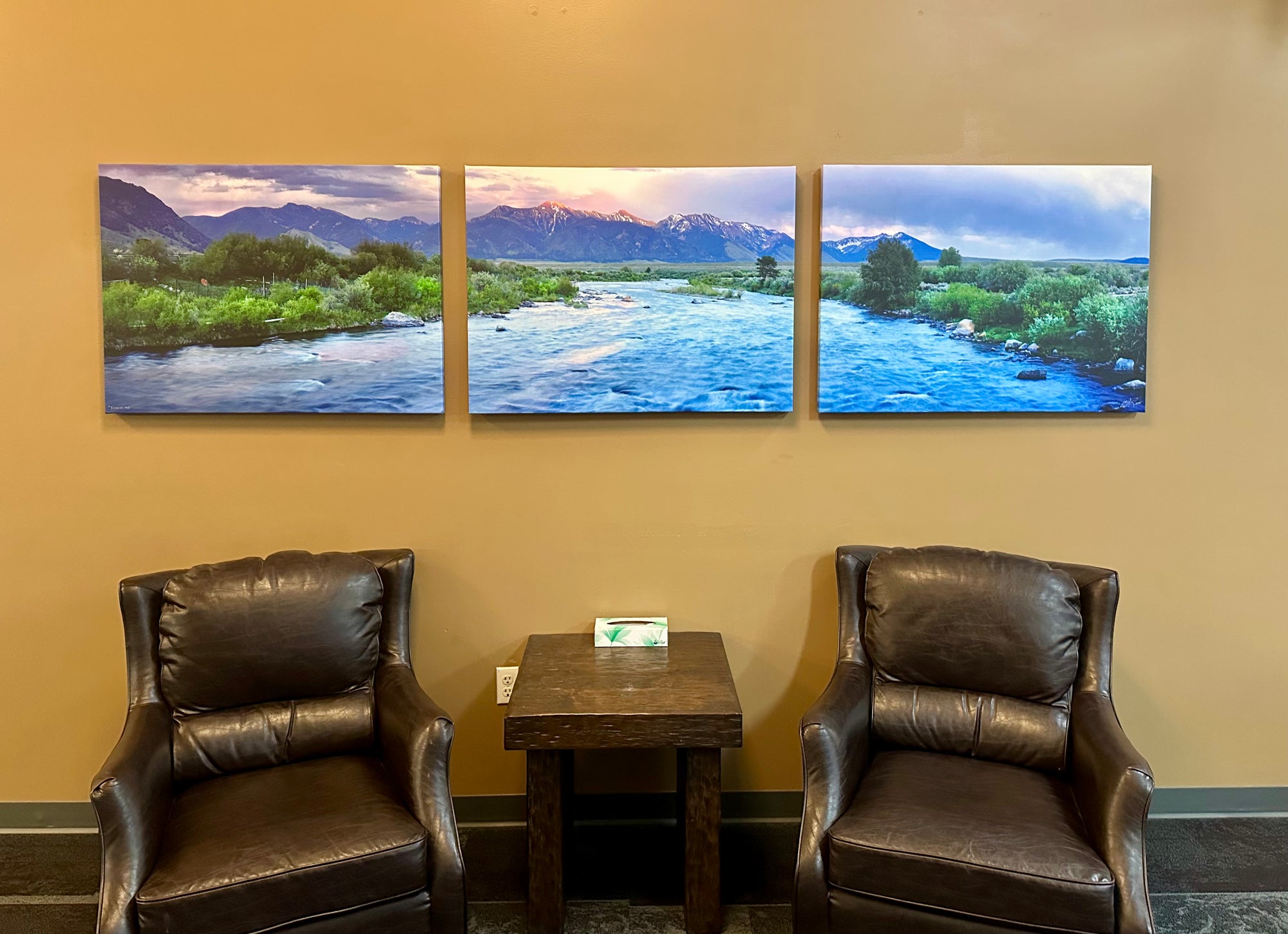 "3 Dollar Eve"  120"x30" canvas gallery wrap - triptych