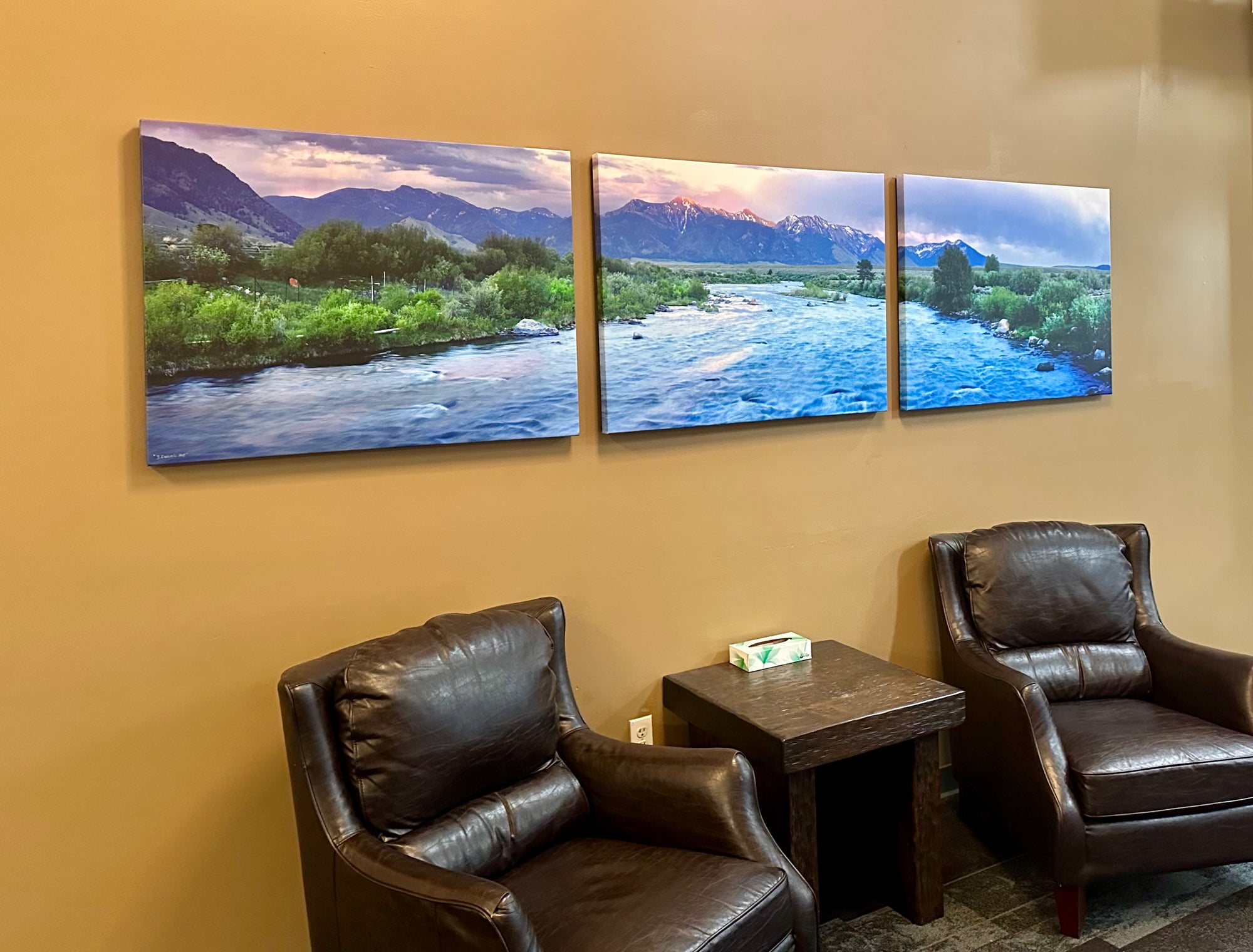 "3 Dollar Eve"  120"x30" canvas gallery wrap - triptych