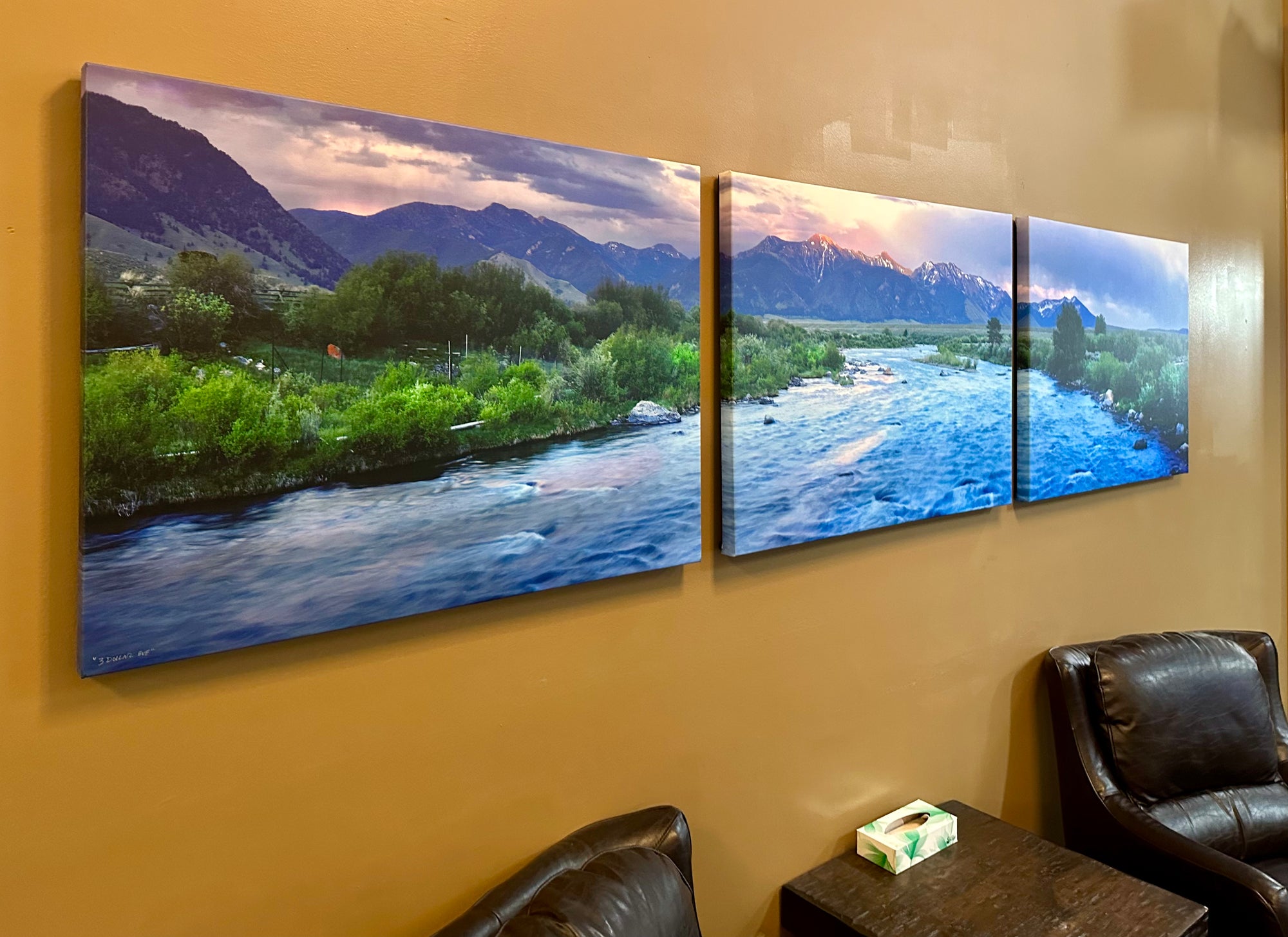 "3 Dollar Eve"  120"x30" canvas gallery wrap - triptych
