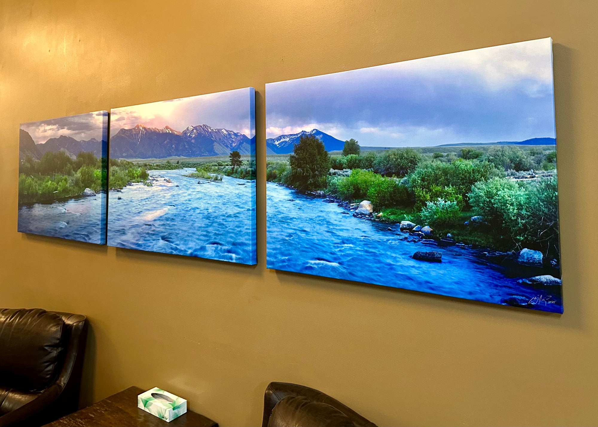 "3 Dollar Eve"  120"x30" canvas gallery wrap - triptych