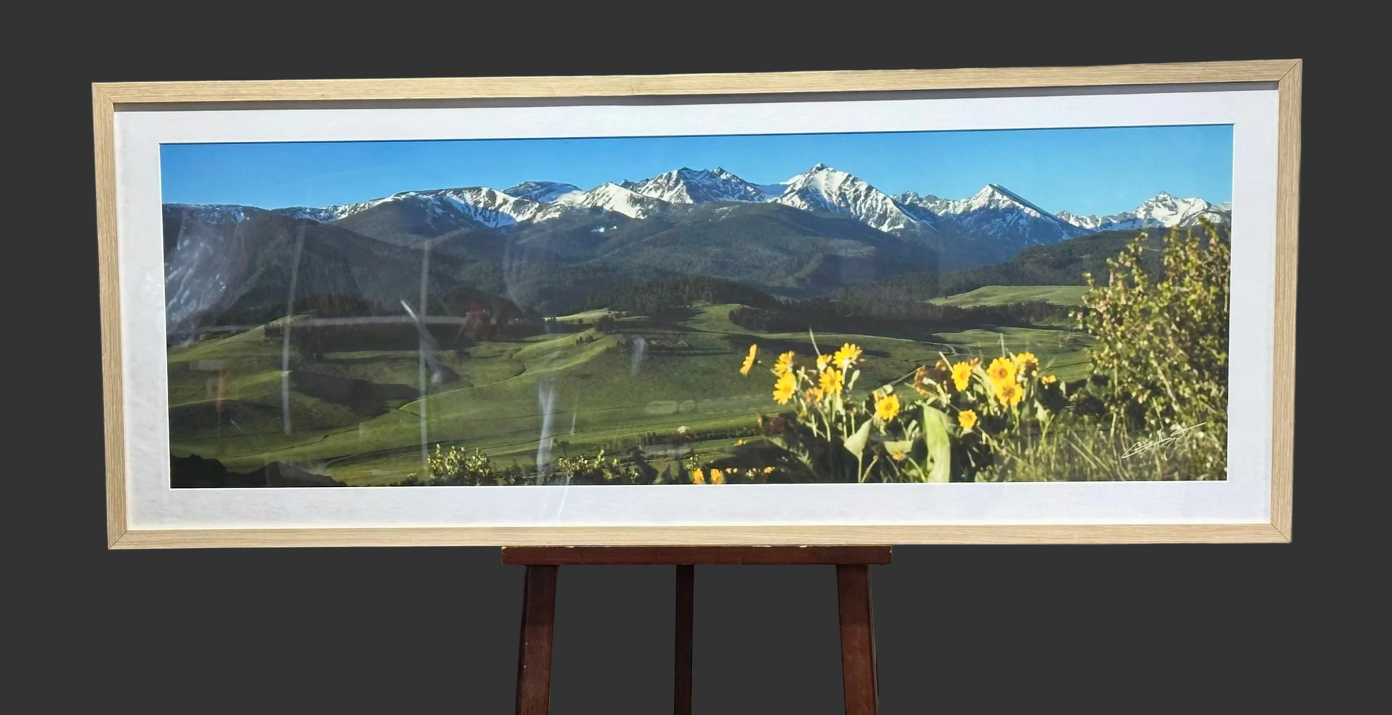 "Spanish Balsamroot" - 45" x 15" Custom Framed open edition paper print